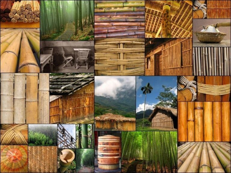 Utilizing Bamboo -A Case Study of Nagaland, India