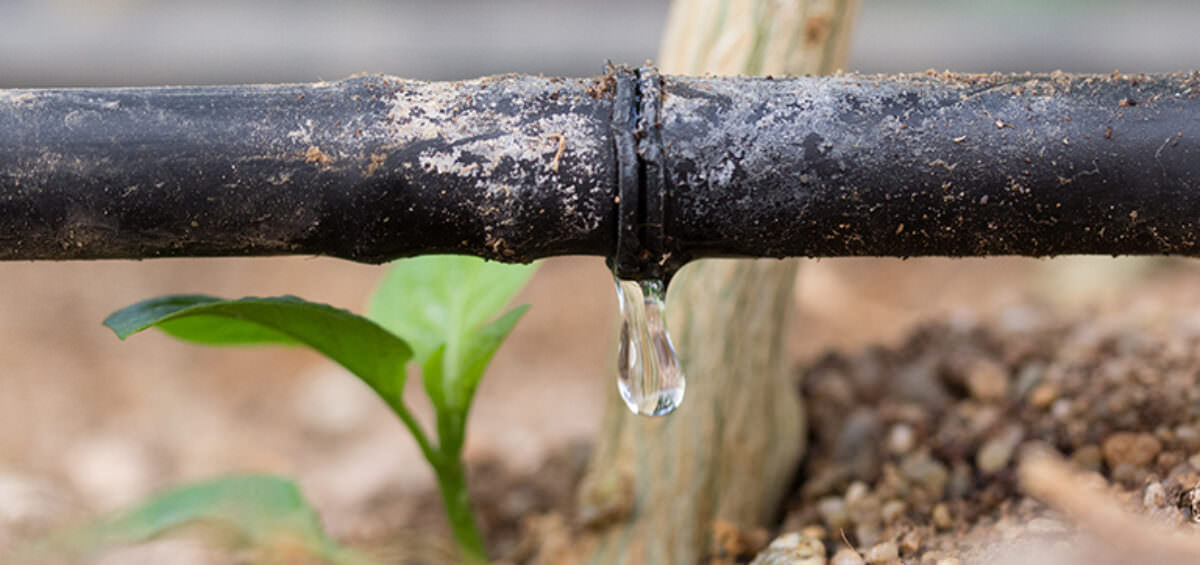 2. drip irrigation. source agrivi.com 