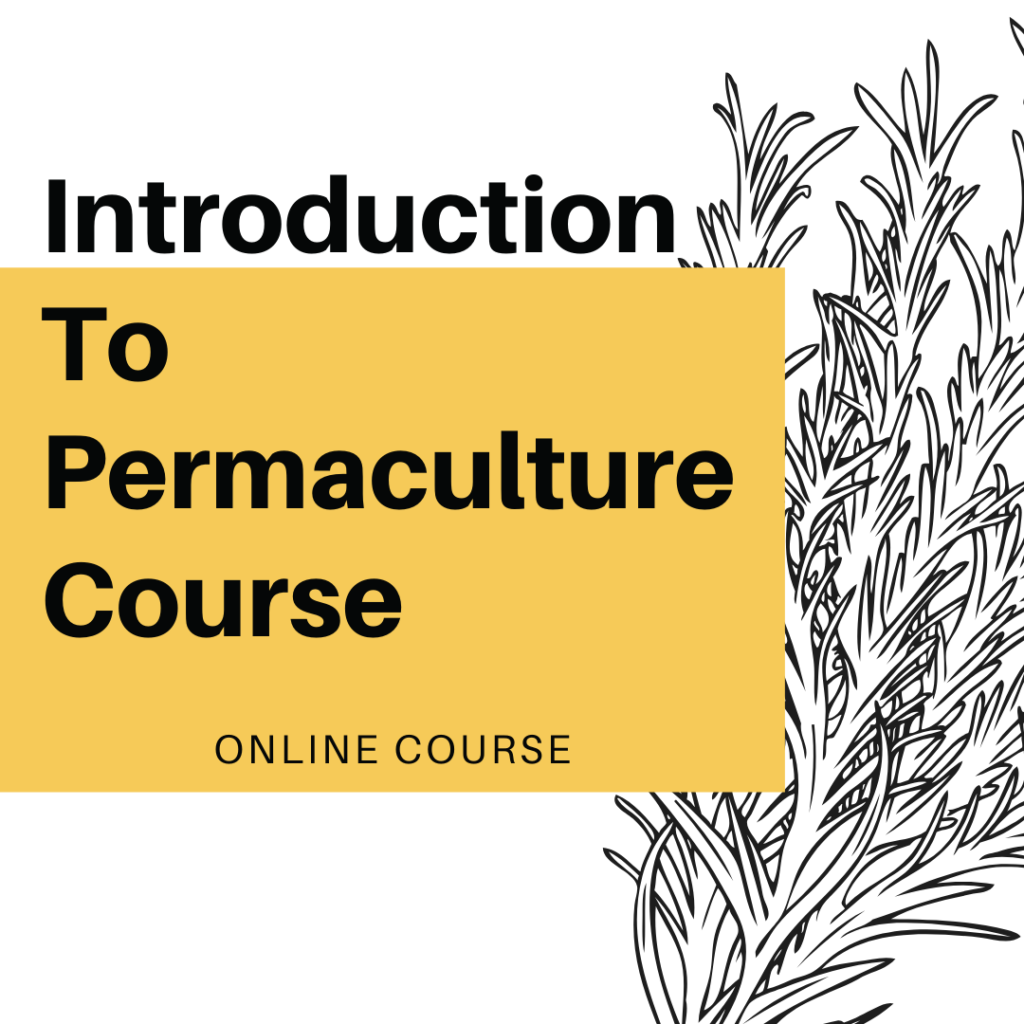 Intro to Permaculture Design
