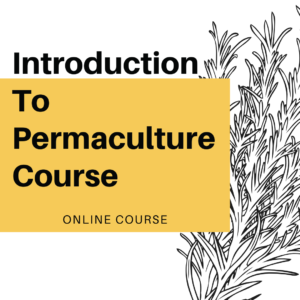 Intro to Permaculture Design