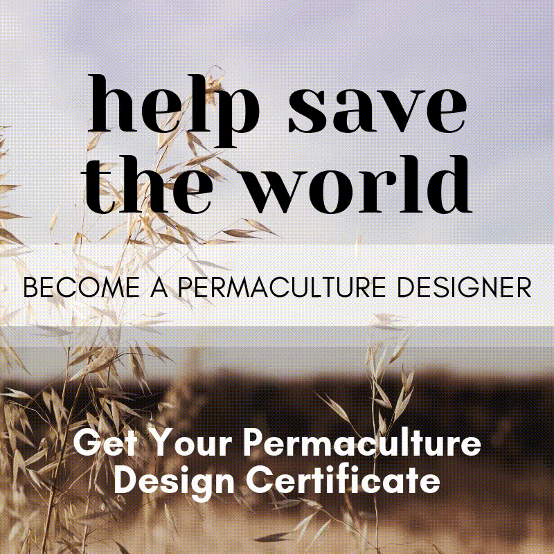 get permaculture certified