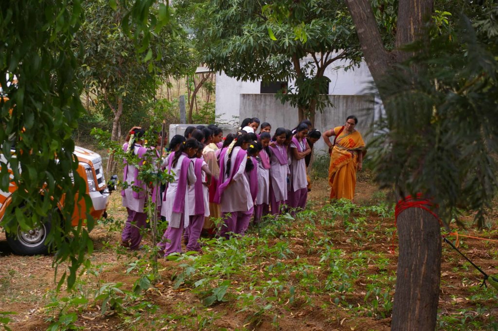 Toranam Project