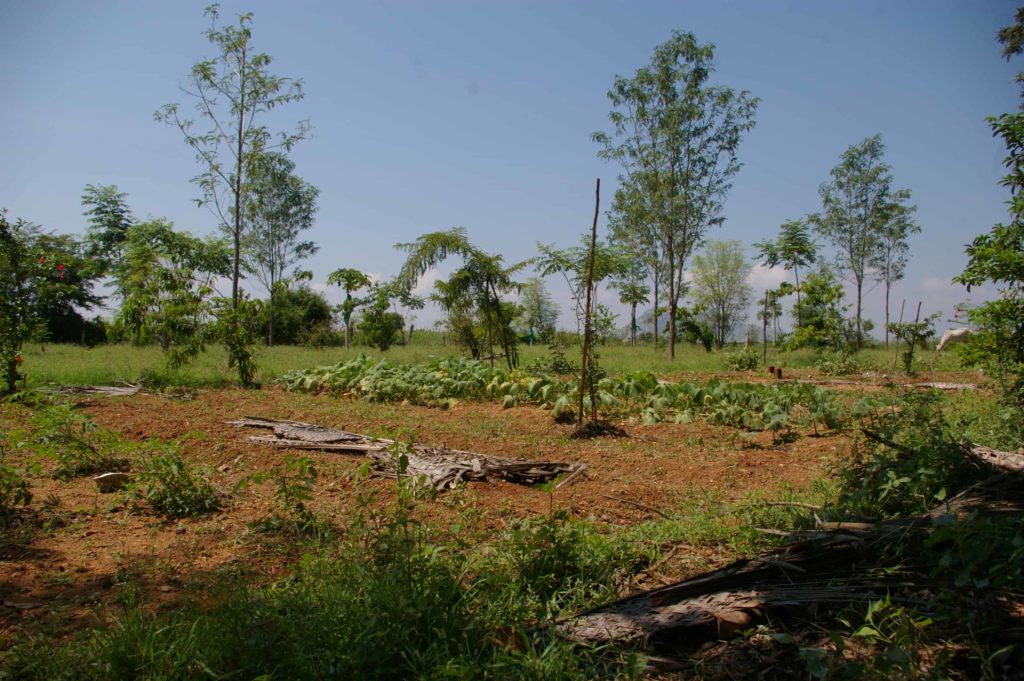 Toranam Project