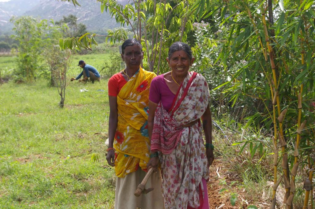 Toranam Project
