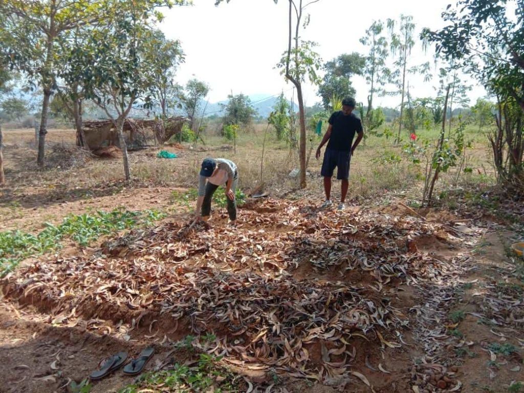 Toranam Project