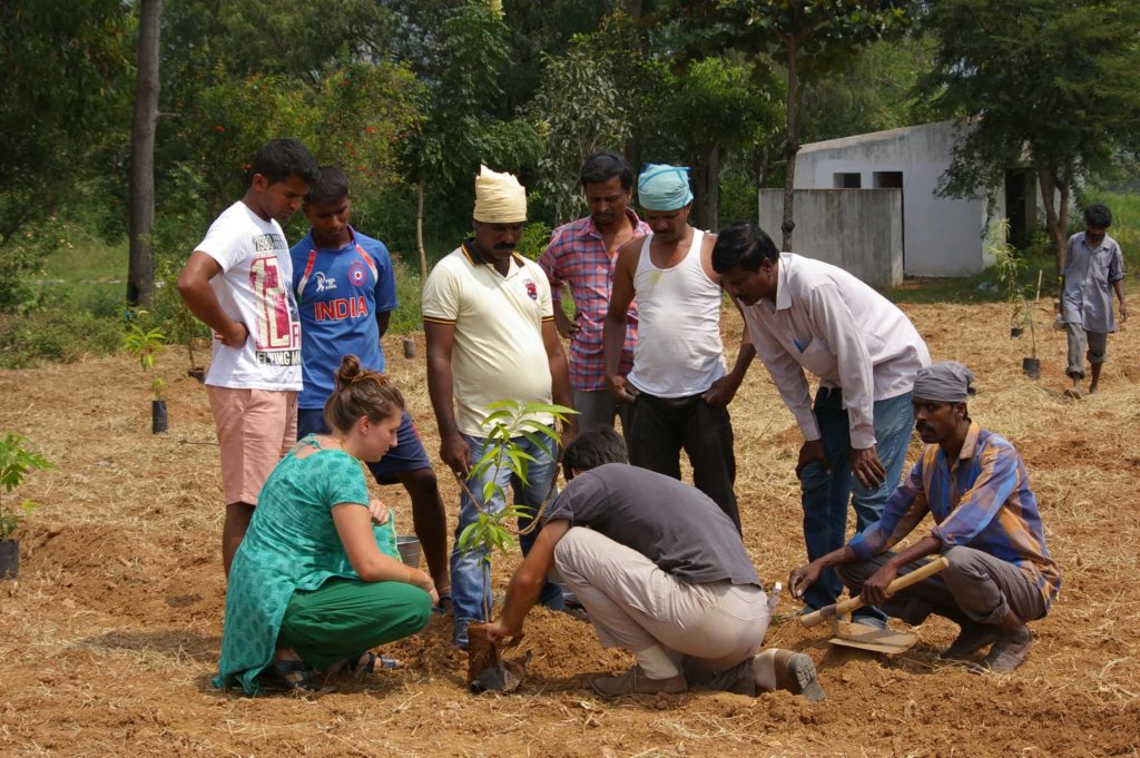 Toranam Project