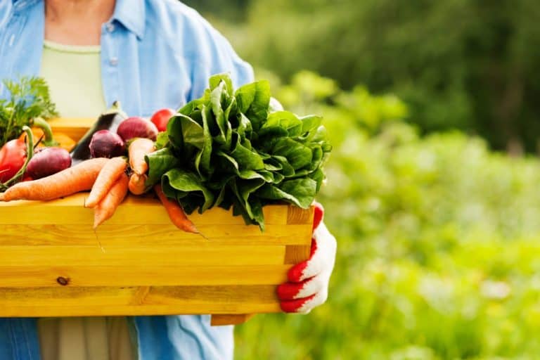 grow your own food
