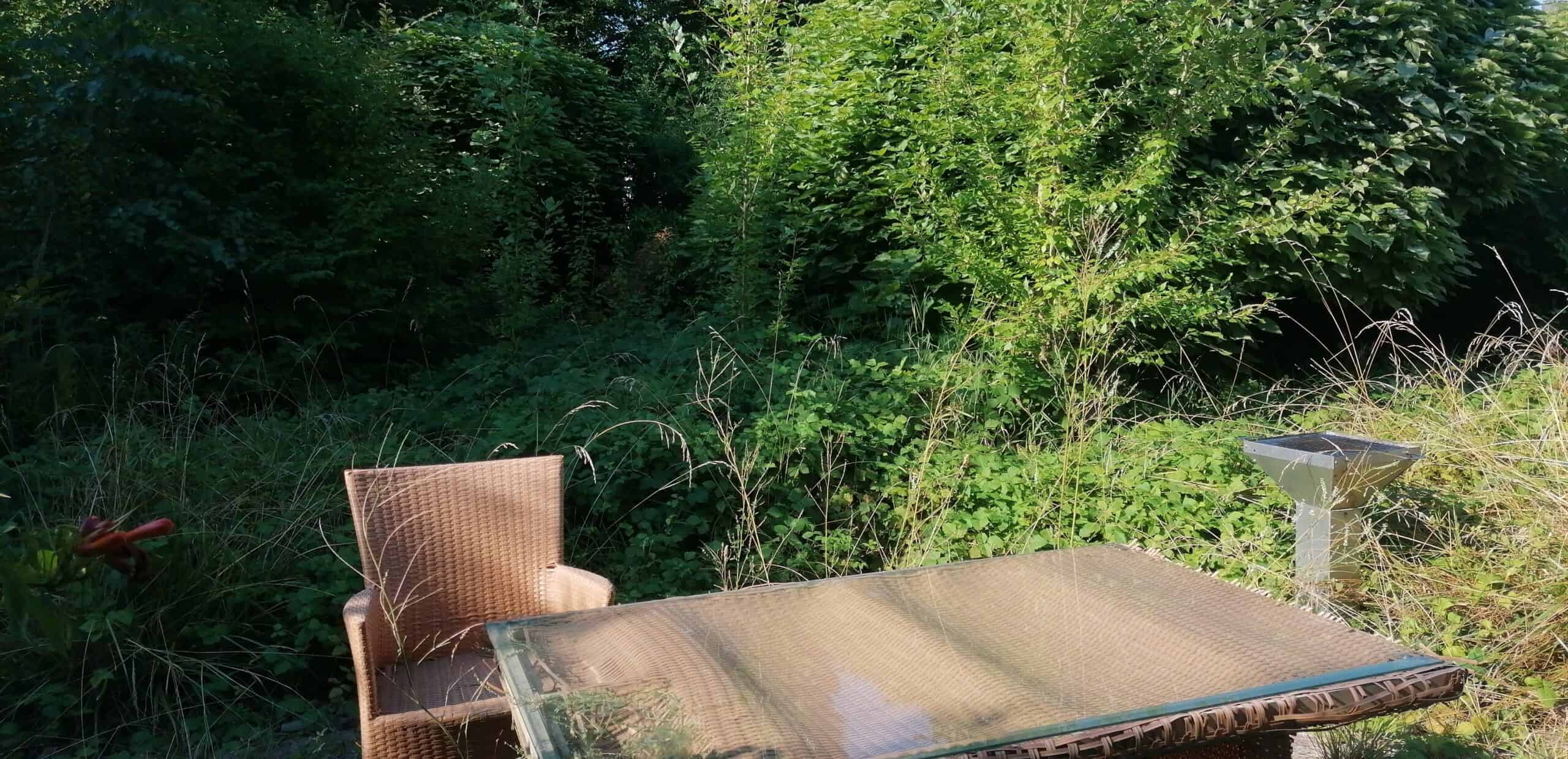 Current state of the garden ©Franziska Weißörtel 