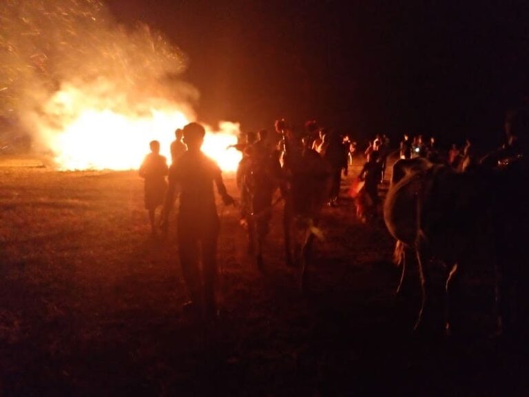 Forest fires on Kilimanjaro
