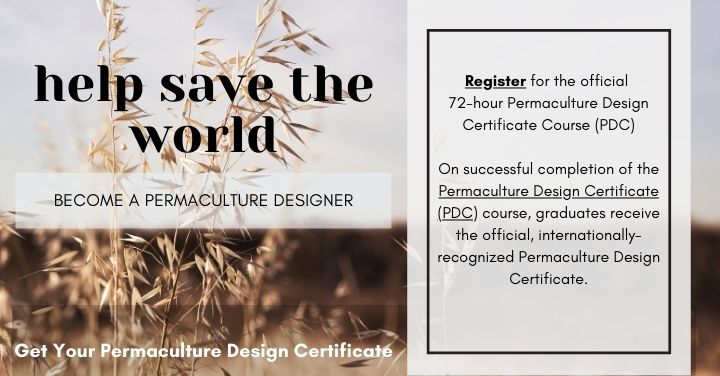 Save the world become a permaculture designer