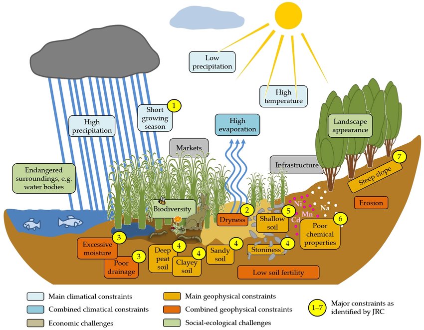 3. illustration of relevant biophysical constraints source moritz von cossel