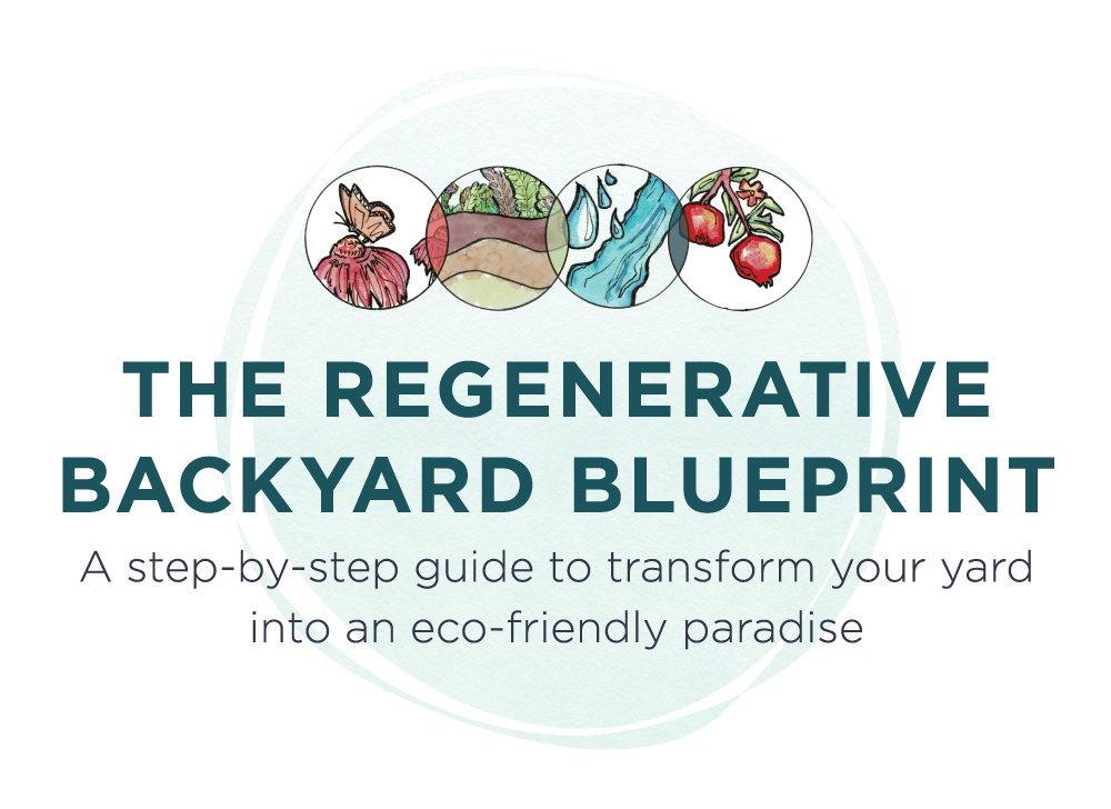 regernative backyard blueprint