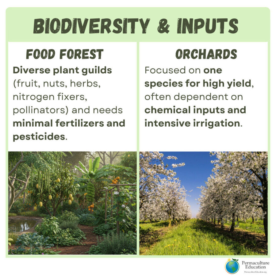 biodiversity difference