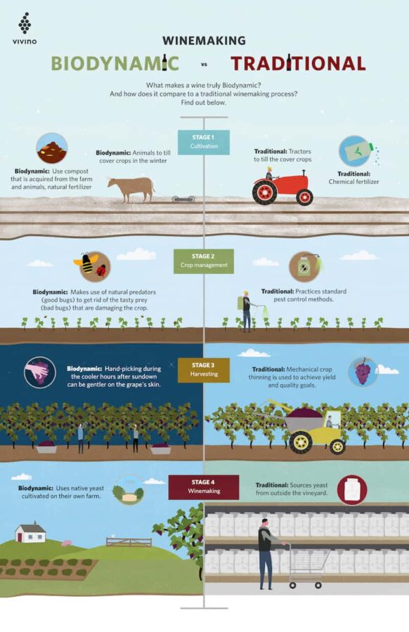 Biodynamic winemaking, 