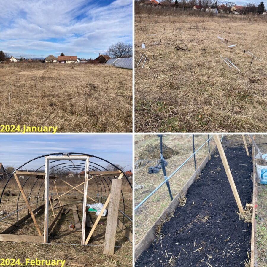 building the garden