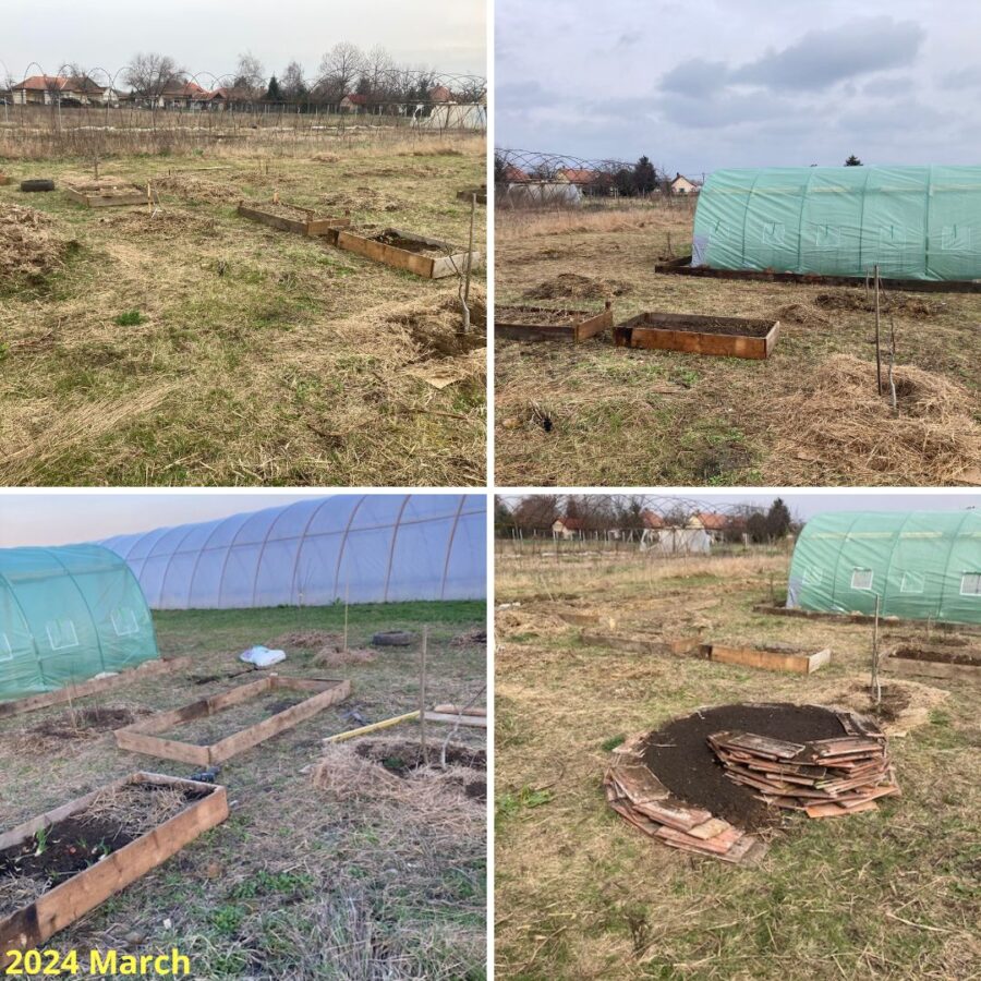 forest garden prep