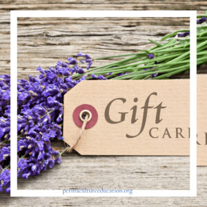 Gifts and Gift Cards