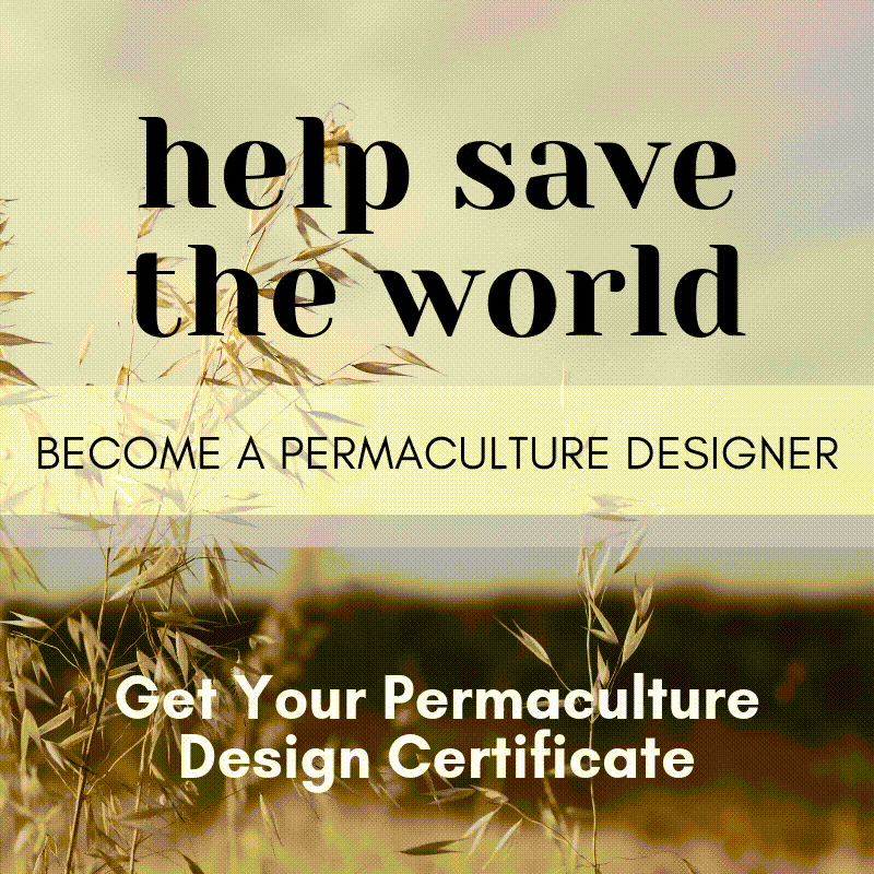 help save the world by becoming a permaculture design expert.