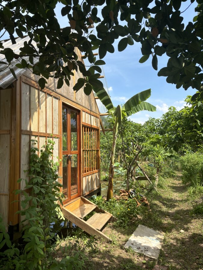 Image: View of the wooden shed/work space