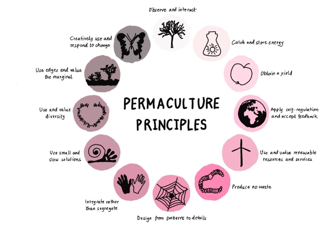 permaculture principles holmgren