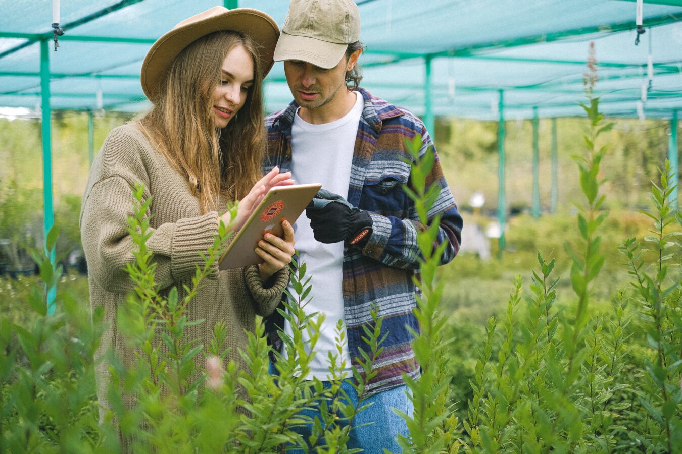 designing a rain garden, photo by anna shvets from pexels.