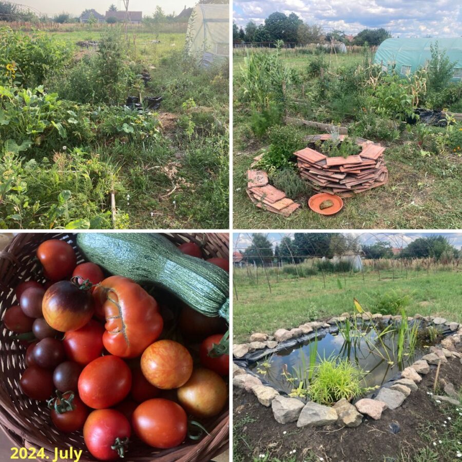 polyculture