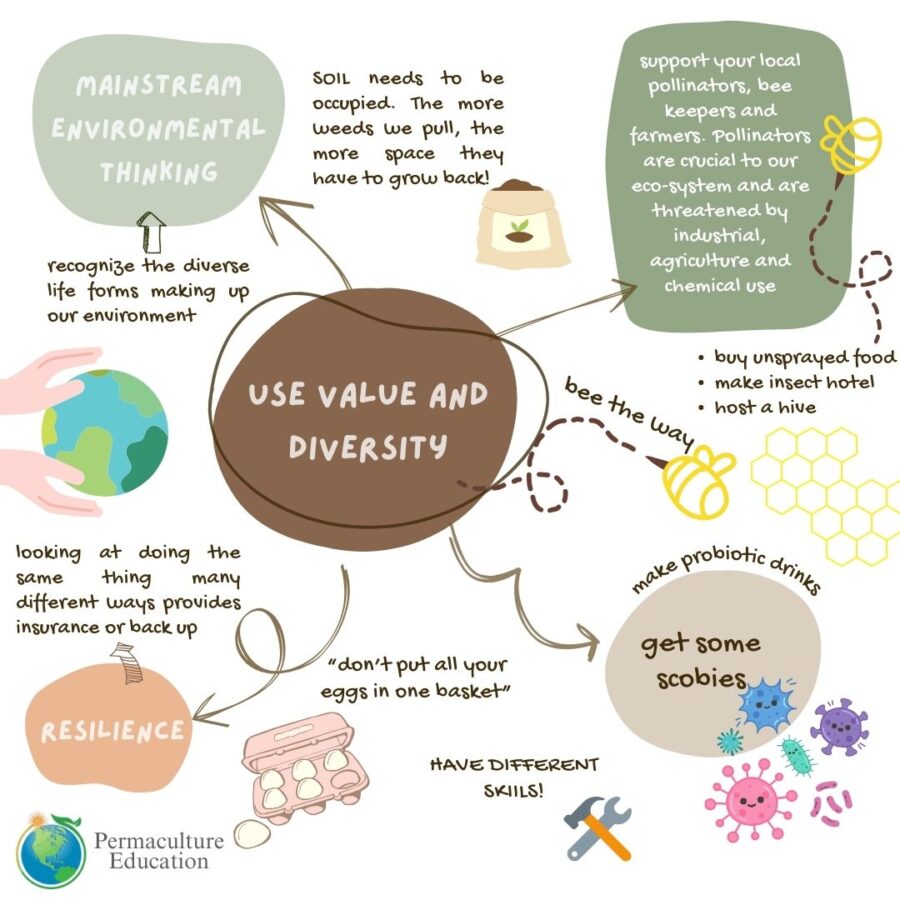 principles value&diversity