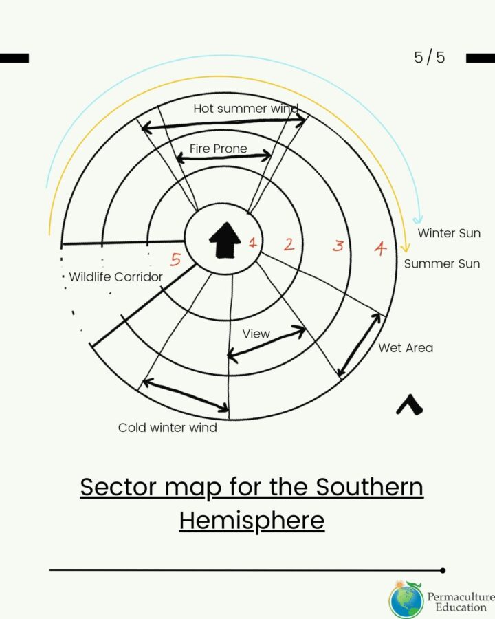 sector analysis