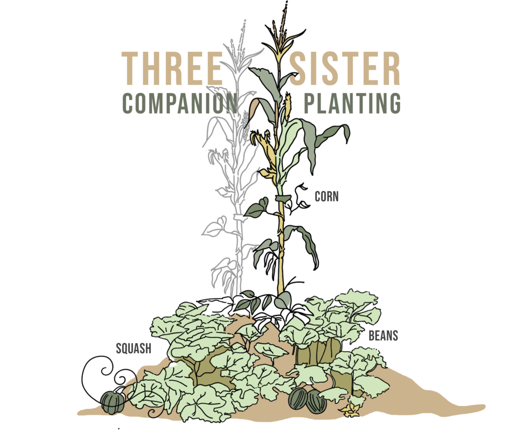 three sister graphic