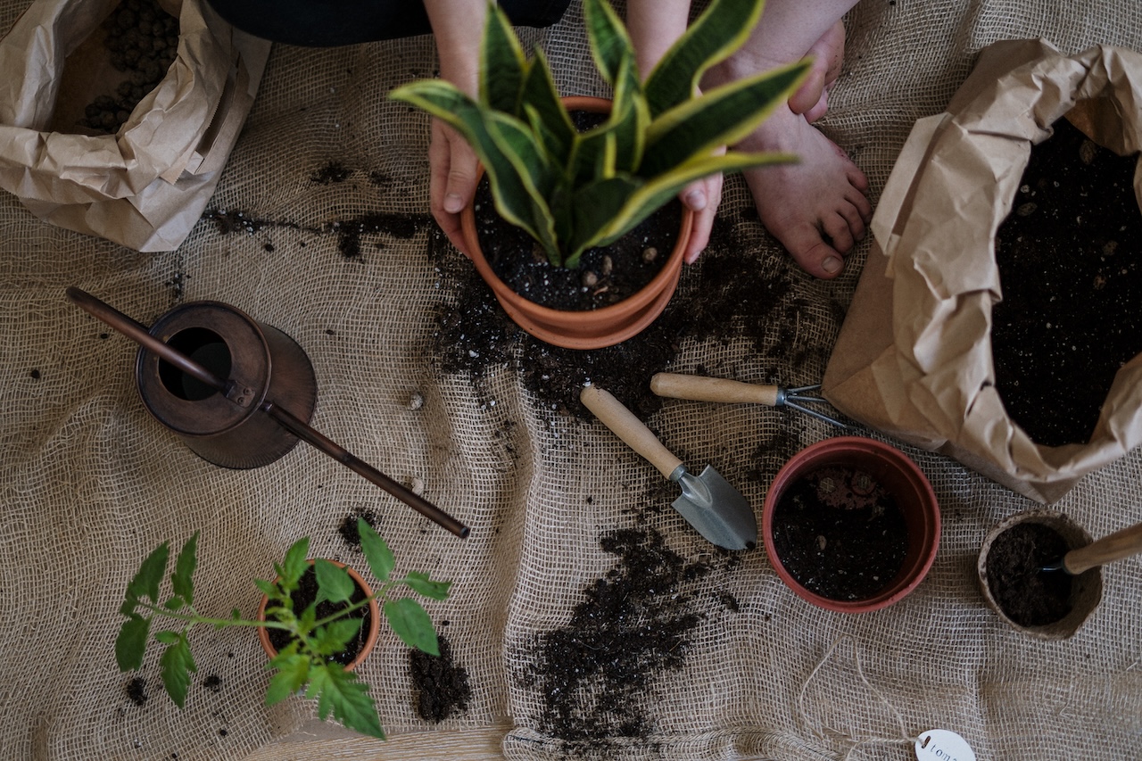 tools for maintenance source cottonbro studio from pexels