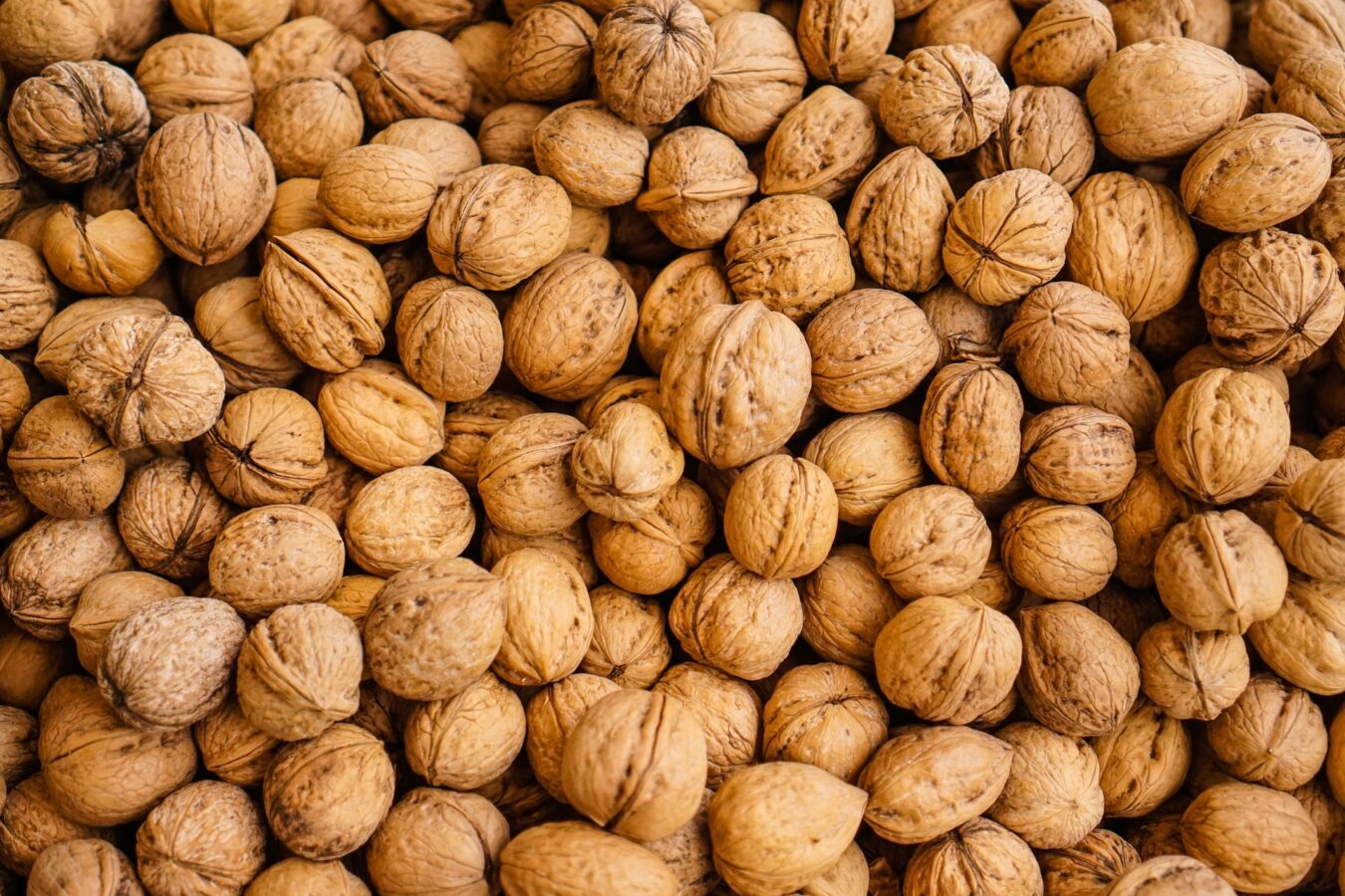 walnuts and shells