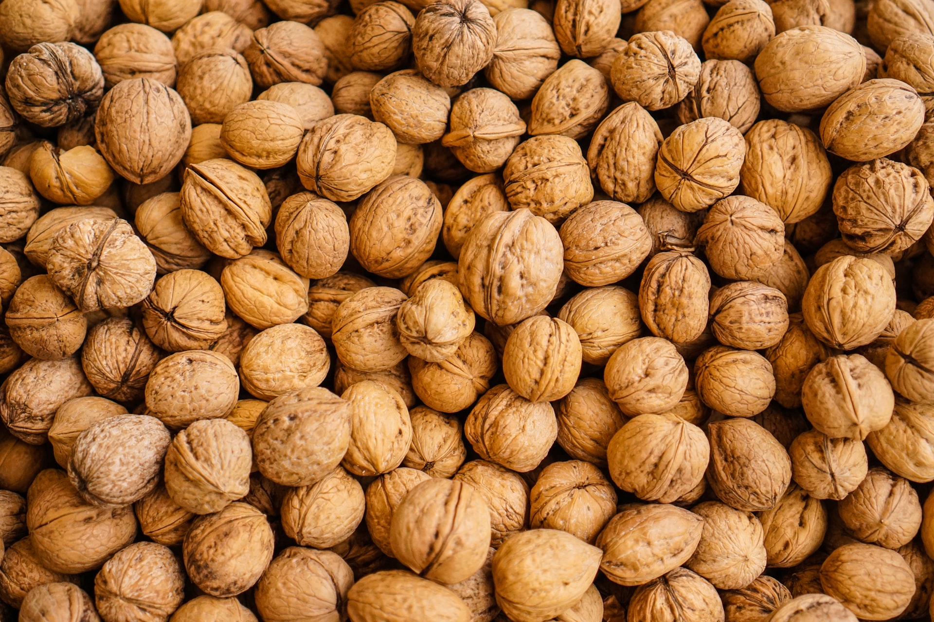 walnuts and shells