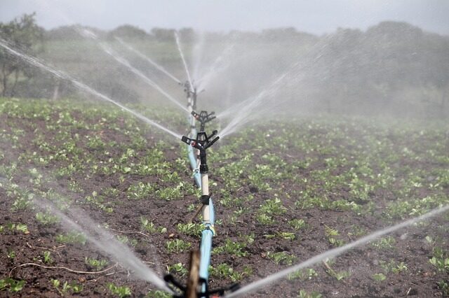 water soild management