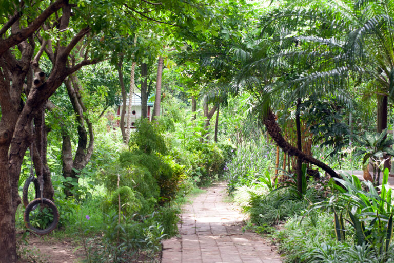 Permaculture Dispatches from Vietnam